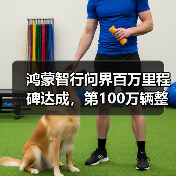 鸿蒙智行问界百万里程碑达成,第100万辆整车下线仪式即将开幕(图1) 鸿蒙智行问界百万里程碑达成,第100万辆整车下线仪式即将开幕(图1)