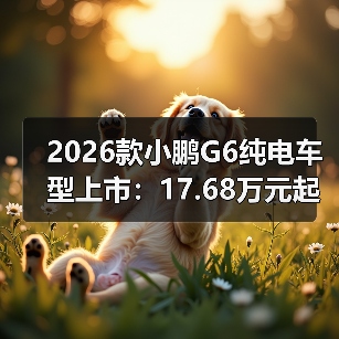 2026款小鹏G6纯电车型上市：17.68万元起，综合续航里程达625公里（图1）