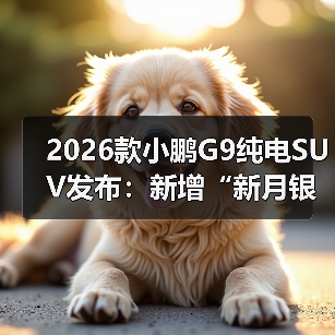 2026款小鹏G9纯电SUV发布：新增“新月银”配色，24.88万元起（图2）