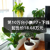 第10万台小鹏P7+下线,起售价18.68万元,距上市约14月(图1) 第10万台小鹏P7+下线,起售价18.68万元,距上市约14月(图1)