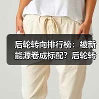 后轮转向排行榜：被新能源卷成标配？后轮转向杀入20万区间（图2）