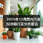 2025年12月国内汽车投诉排行及分析报告（图1）