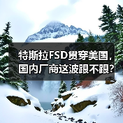 特斯拉FSD贯穿美国，国内厂商这波跟不跟？（图4）