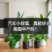 汽车小故障，真能斩杀美国中产吗？（图2）