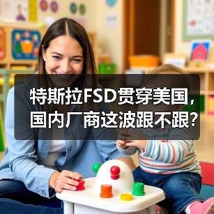特斯拉FSD贯穿美国，国内厂商这波跟不跟？（图3）