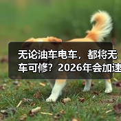无论油车电车，都将无车可修？2026年会加速洗牌吗？（图4）