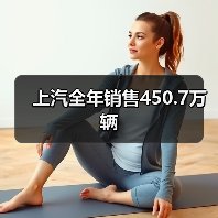 上汽全年销售450.7万辆（图1）