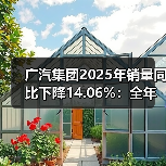广汽集团2025年销量同比下降14.06%：全年仅广汽丰田实现增长（图4）