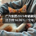 广汽集团2025年销量同比下降14.06%：全年仅广汽丰田实现增长（图2）