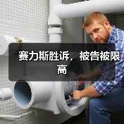 赛力斯胜诉,被告被限高(图1) 赛力斯胜诉,被告被限高(图1)