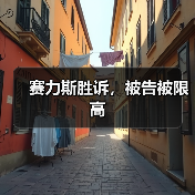 赛力斯胜诉,被告被限高(图4) 赛力斯胜诉,被告被限高(图4)