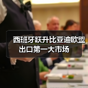 西班牙跃升比亚迪欧盟出口第一大市场（图1）