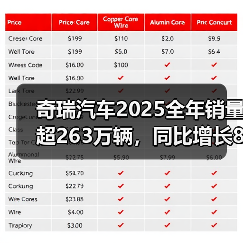 奇瑞汽车2025全年销量超263万辆，同比增长8%（图2）