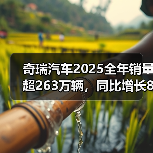 奇瑞汽车2025全年销量超263万辆，同比增长8%（图1）