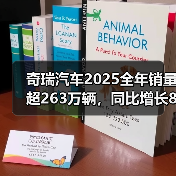 奇瑞汽车2025全年销量超263万辆，同比增长8%（图3）