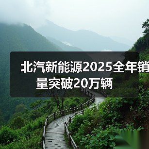 北汽新能源2025全年销量突破20万辆（图3）
