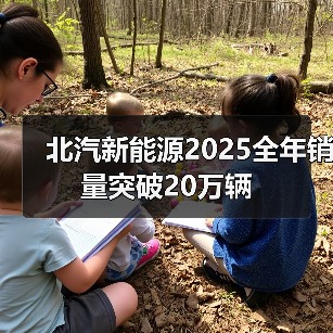 北汽新能源2025全年销量突破20万辆（图2）