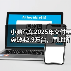 小鹏汽车2025年交付量突破42.9万台，同比增长126%（图3）