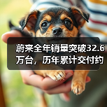 蔚来全年销量突破32.6万台，历年累计交付约100万台（图1）