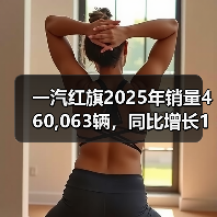 一汽红旗2025年销量460,063辆，同比增长11.7%（图1）