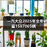 一汽大众2025年全年销量1587065辆（图3）