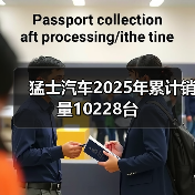 猛士汽车2025年累计销量10228台（图3）
