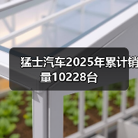 猛士汽车2025年累计销量10228台（图2）