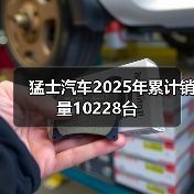 猛士汽车2025年累计销量10228台（图1）