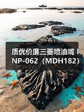 质优价廉三菱喷油嘴 INP-062（MDH182）（图3）