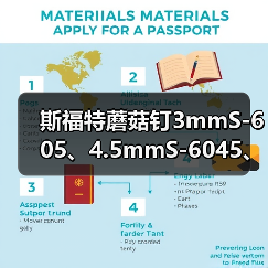 斯福特蘑菇钉3mmS-605、4.5mmS-6045、6mmS-606轮胎整体塞钻头（图3）