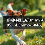 斯福特蘑菇钉3mmS-605、4.5mmS-6045、6mmS-606轮胎整体塞钻头（图4）