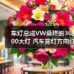 车灯总成VW桑塔纳3000大灯 汽车雾灯方向灯大灯总成（图3）