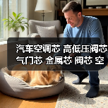 汽车空调芯 高低压阀芯 气门芯 金属芯 阀芯 空调充注阀（图1）