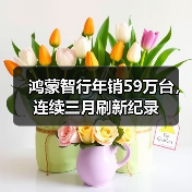 鸿蒙智行年销59万台，连续三月刷新纪录（图3）