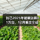 智己2025年销量狂飙8.1万台，12月首度全成本盈利（图2）