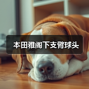 本田雅阁下支臂球头（图2）