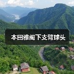 本田雅阁下支臂球头（图1）