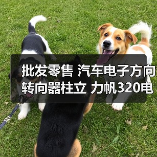 批发零售 汽车电子方向转向器柱立 力帆320电动管柱 RC016原厂（图4）