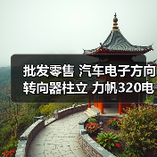 批发零售 汽车电子方向转向器柱立 力帆320电动管柱 RC016原厂（图2）