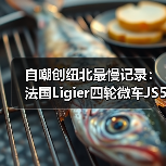 自嘲创纽北最慢记录:法国Ligier四轮微车JS50用时28分25.8秒(图3) 自嘲创纽北最慢记录:法国Ligier四轮微车JS50用时28分25.8秒(图3)