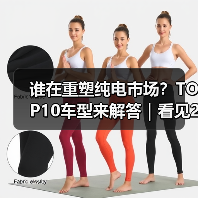 谁在重塑纯电市场？TOP10车型来解答｜看见2025（图4）