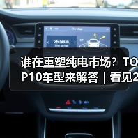 谁在重塑纯电市场？TOP10车型来解答｜看见2025（图2）
