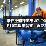 谁在重塑纯电市场？TOP10车型来解答｜看见2025（图3）