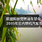 欧盟拟放宽燃油车禁令 2035年后内燃机汽车市场份额几何(图4) 欧盟拟放宽燃油车禁令 2035年后内燃机汽车市场份额几何(图4)