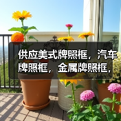 供应美式牌照框,汽车牌照框,金属牌照框,车牌架,(图4) 供应美式牌照框,汽车牌照框,金属牌照框,车牌架,(图4)