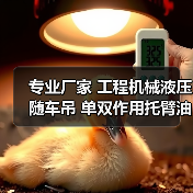 专业厂家 工程机械液压随车吊 单双作用托臂油缸撑地油缸优质定制（图2）