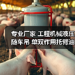 专业厂家 工程机械液压随车吊 单双作用托臂油缸撑地油缸优质定制（图4）