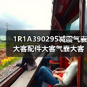 1R1A390295减震气囊大客配件大客气囊大客底盘气囊空气悬挂配件（图2）
