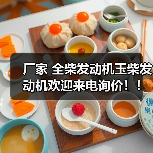 厂家 全柴发动机玉柴发动机欢迎来电询价！！！（图4）