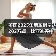 英国2025年新车销量达202万辆，比亚迪等中国车企市占率为9.7%（图1）